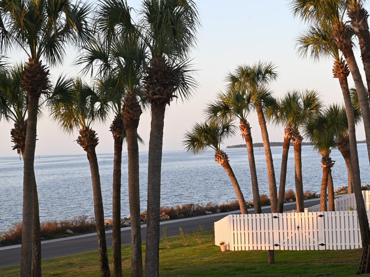 Four Days in Cedar&nbsp;Key